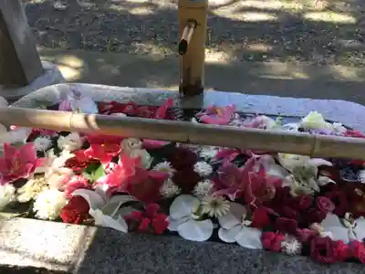 札幌伏見稲荷神社の手水舎