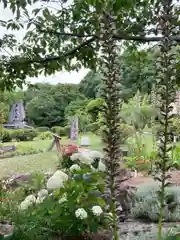 常楽寺の庭園