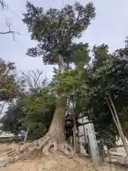 立石神社(香川県)