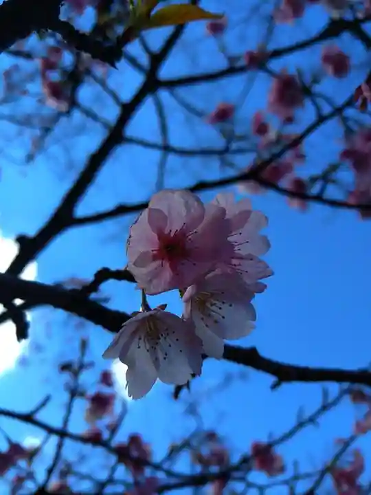 靖國神社(東京都)