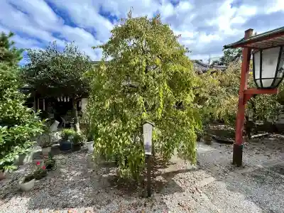 源九郎稲荷神社(奈良県)