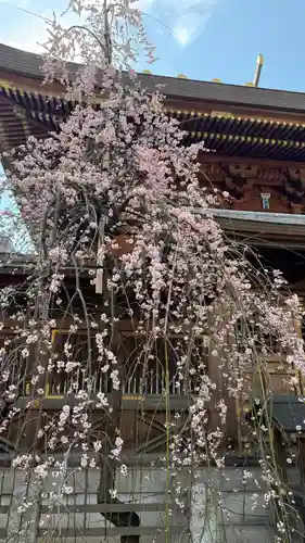 湯島天満宮(東京都)
