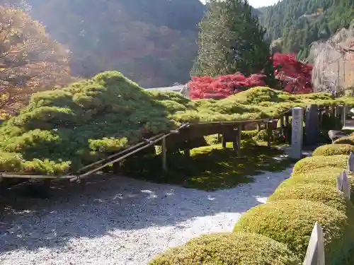 善峯寺の庭園