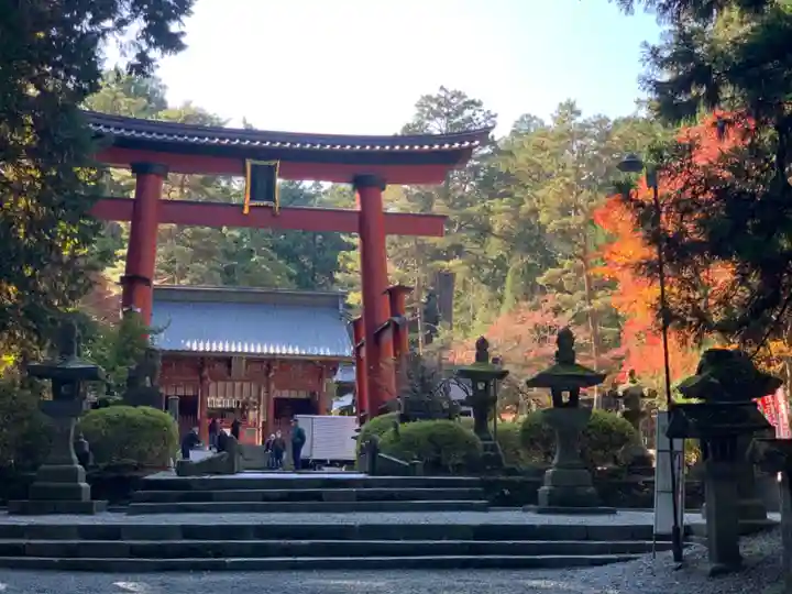 北口本宮冨士浅間神社の鳥居