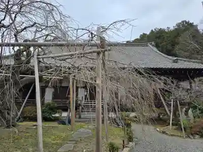 毘沙門堂門跡(京都府)