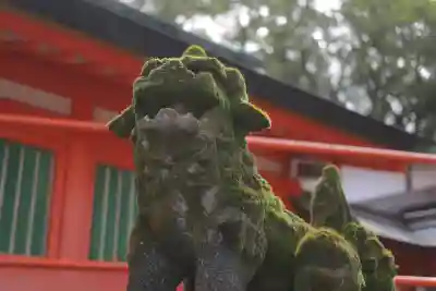 住吉神社の狛犬