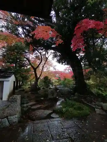 月山寺の庭園