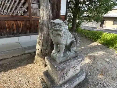 熊野三柱神社の狛犬