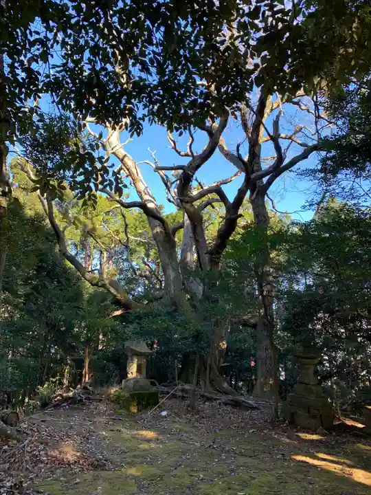 浅間神社(千葉県)