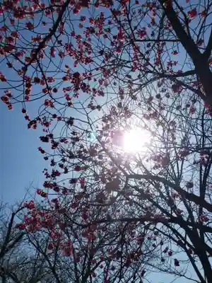 靖國神社(東京都)