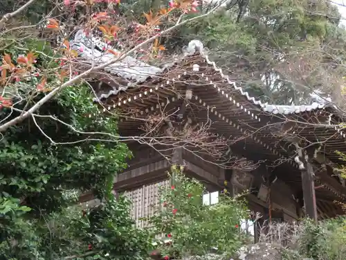 勝持寺（花の寺）の本殿・本堂