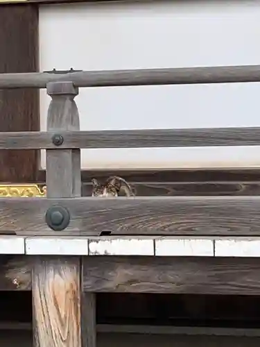 三寳寺のその他建物