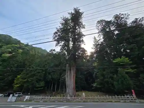 室生龍穴神社(奈良県)