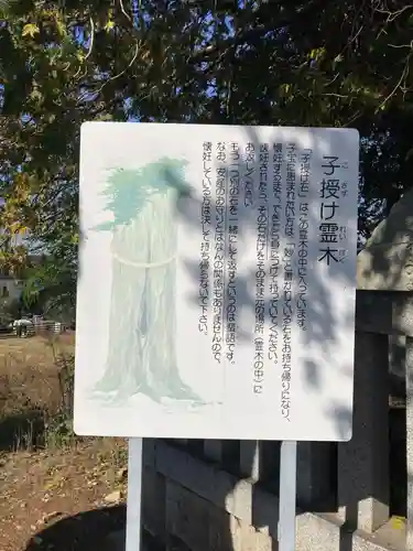 定林寺(山梨県)