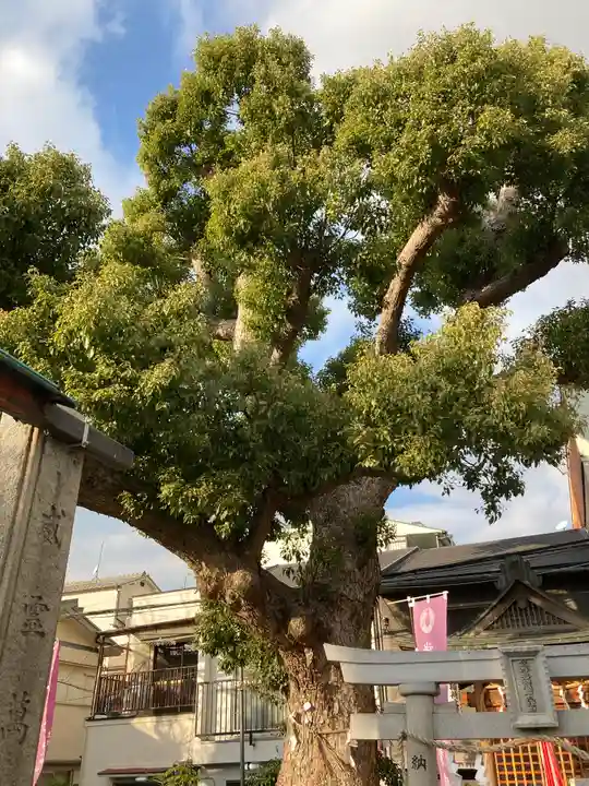 生野八坂神社(大阪府)