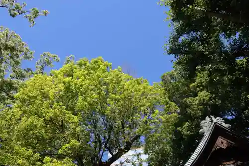 阿邪訶根神社の景色