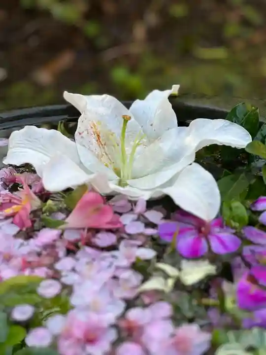 かっぱの寺 栖足寺(静岡県)