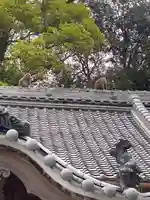 尾鷲神社(三重県)