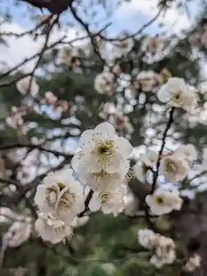 西照寺(東京都)