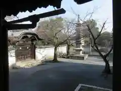 妙顯寺（妙顕寺）の建物その他