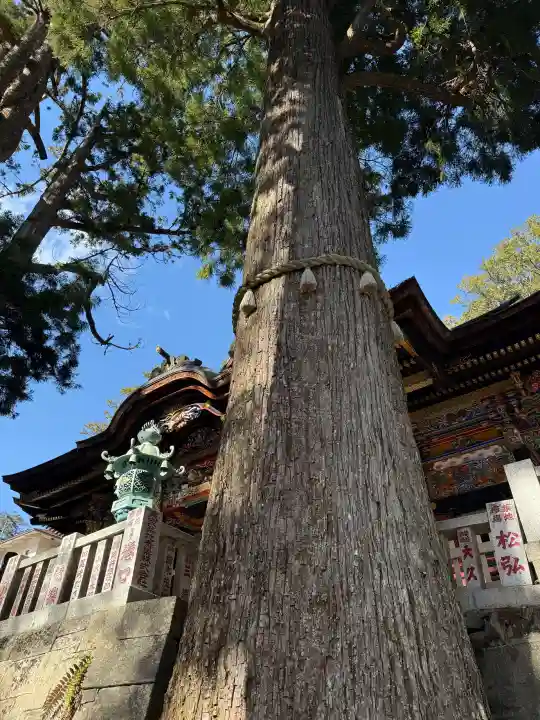 三峯神社の{uncategorized: "未分類", other: "その他", undefined: "問題あり", building: "その他建物", grave: "お墓", sacred_gate: "鳥居", guardian: "狛犬", statue: "像", buddha: "仏像", history: "歴史", nature: "自然", garden: "庭園", animal: "動物", pagoda: "塔", temizu: "手水舎", mountain_gate: "山門・神門", sanctuary: "本殿・本堂", subordinate: "末社・摂社", art: "芸術", scenery: "景色", jizo: "地蔵", ema: "絵馬", goshuin: "御朱印", omikuji: "おみくじ", items: "授与品その他", amulet: "お守り", goshuincho: "御朱印帳", eats: "食事", festival: "お祭り", votive_dance: "神楽", shichigosan: "七五三参", wedding: "結婚式", experience: "体験その他", initially: "初詣", around: "周辺", anti_infection: "感染症対策"}