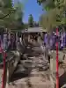 下野 星宮神社の{uncategorized: "未分類", other: "その他", undefined: "問題あり", building: "その他建物", grave: "お墓", sacred_gate: "鳥居", guardian: "狛犬", statue: "像", buddha: "仏像", history: "歴史", nature: "自然", garden: "庭園", animal: "動物", pagoda: "塔", temizu: "手水舎", mountain_gate: "山門・神門", sanctuary: "本殿・本堂", subordinate: "末社・摂社", art: "芸術", scenery: "景色", jizo: "地蔵", ema: "絵馬", goshuin: "御朱印", omikuji: "おみくじ", items: "授与品その他", amulet: "お守り", goshuincho: "御朱印帳", eats: "食事", festival: "お祭り", votive_dance: "神楽", shichigosan: "七五三参", wedding: "結婚式", experience: "体験その他", initially: "初詣", around: "周辺", anti_infection: "感染症対策"}