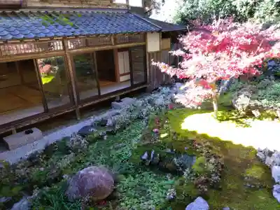 古知谷阿弥陀寺(京都府)
