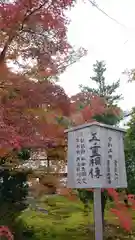 浄福寺の自然