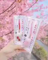 上野東照宮(東京都)