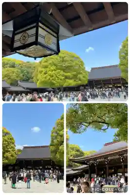 明治神宮(東京都)