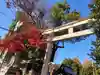 秩父神社の鳥居