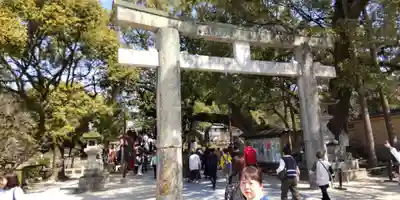 太宰府天満宮(福岡県)