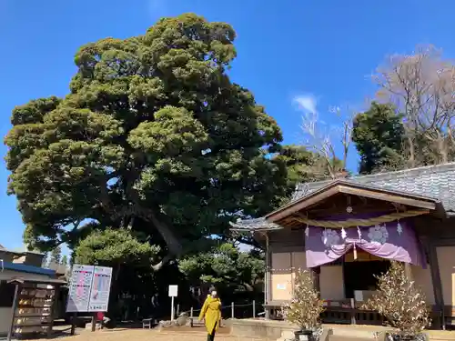 九重神社のその他建物
