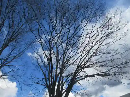 妙見宮(埼玉県)