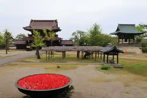 井波別院瑞泉寺の景色