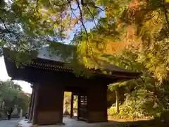 普門寺(切り絵御朱印発祥の寺)の山門