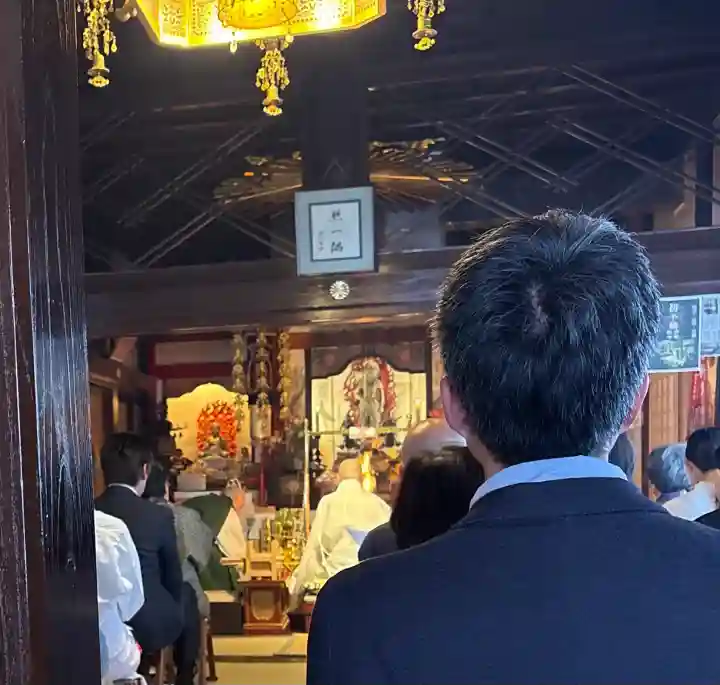 東円寺の{uncategorized: "未分類", other: "その他", undefined: "問題あり", building: "その他建物", grave: "お墓", sacred_gate: "鳥居", guardian: "狛犬", statue: "像", buddha: "仏像", history: "歴史", nature: "自然", garden: "庭園", animal: "動物", pagoda: "塔", temizu: "手水舎", mountain_gate: "山門・神門", sanctuary: "本殿・本堂", subordinate: "末社・摂社", art: "芸術", scenery: "景色", jizo: "地蔵", ema: "絵馬", goshuin: "御朱印", omikuji: "おみくじ", items: "授与品その他", amulet: "お守り", goshuincho: "御朱印帳", eats: "食事", festival: "お祭り", votive_dance: "神楽", shichigosan: "七五三参", wedding: "結婚式", experience: "体験その他", initially: "初詣", around: "周辺", anti_infection: "感染症対策"}