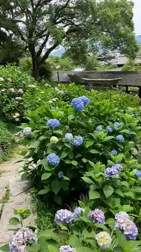 吉備津神社(岡山県)