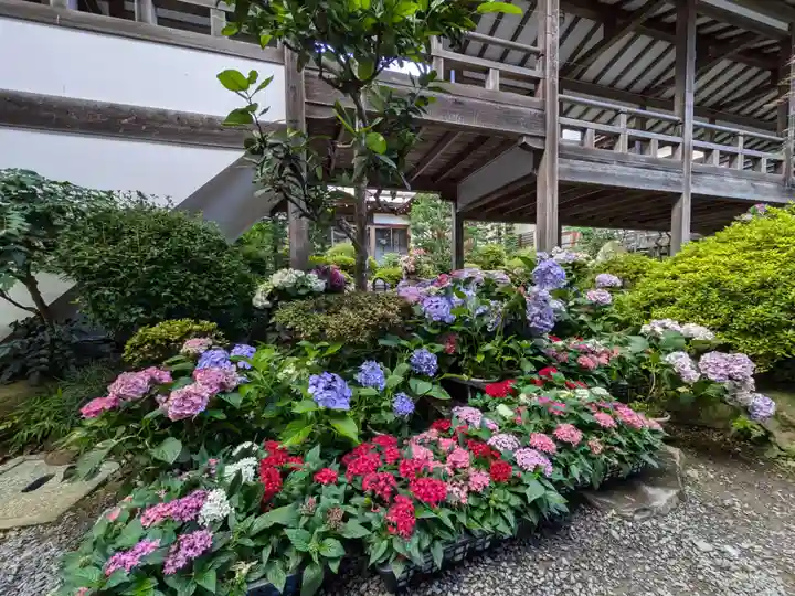 楽法寺(雨引観音)の自然