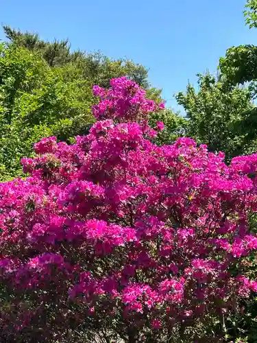 日之神社森(神奈川県)