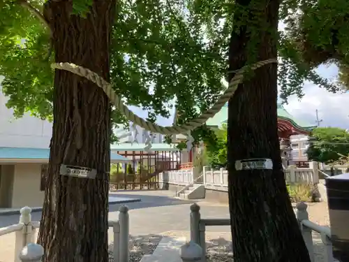 千住神社(東京都)