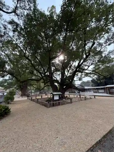 諫早神社（九州総守護  四面宮）(長崎県)