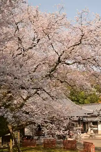 掌禅寺(愛媛県)