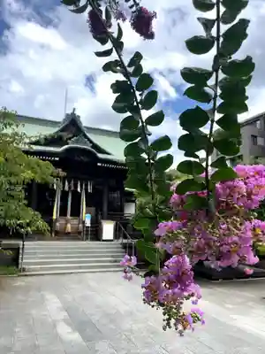 桜神宮(東京都)