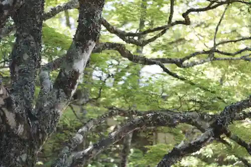 高野山金剛峯寺(和歌山県)