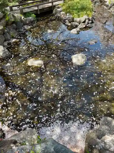 普済寺の庭園