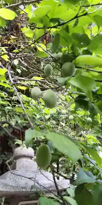 北野天満宮(京都府)