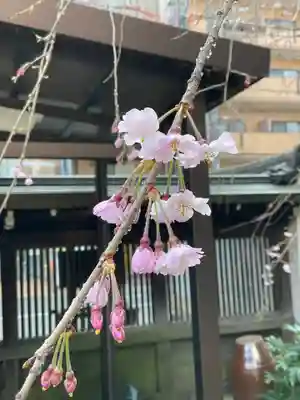 五條天神宮(京都府)