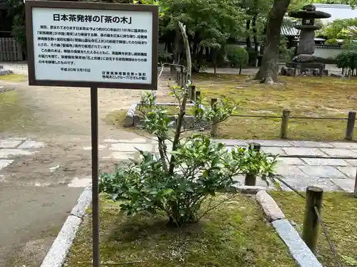 聖福寺(福岡県)