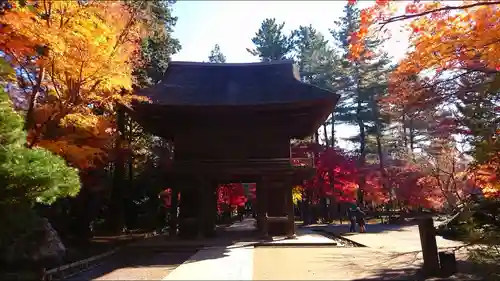 平林寺の山門